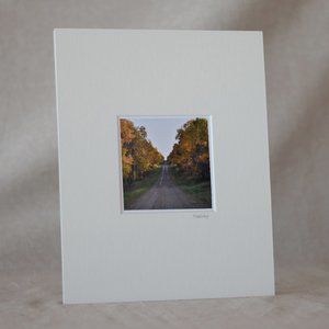 "Autumn Lane" Mini Photography Art Print